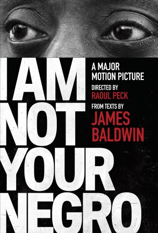 Book cover for I Am Not Your Negro