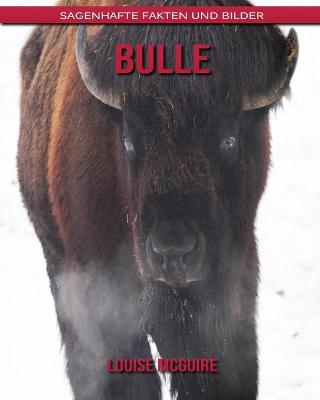 Book cover for Bulle