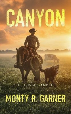 Book cover for Canyon