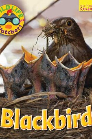 Cover of Wildlife Watchers: Blackbird