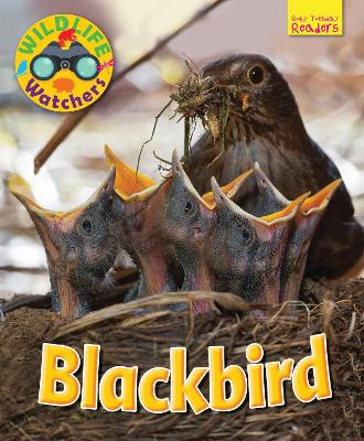 Cover of Wildlife Watchers: Blackbird