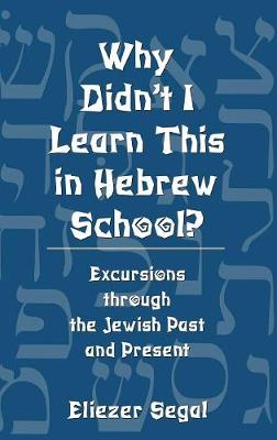 Book cover for Why Didn't I Learn This in Hebrew School?