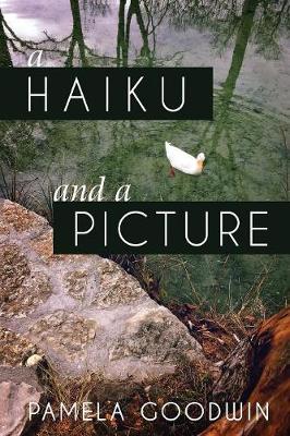 Book cover for A Haiku and a Picture