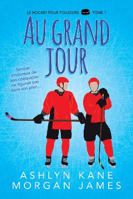 Book cover for Au grand jour