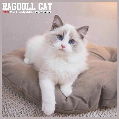 Book cover for Ragdoll Cat 2021 Wall Calendar