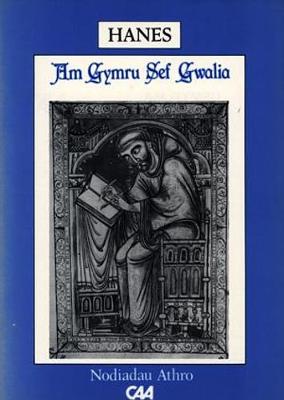 Book cover for Project Defnyddiau ac Adnoddau y Swyddfa Gymreig (Disgyblion Hŷn) - Hanes: Dros y Gwilsen