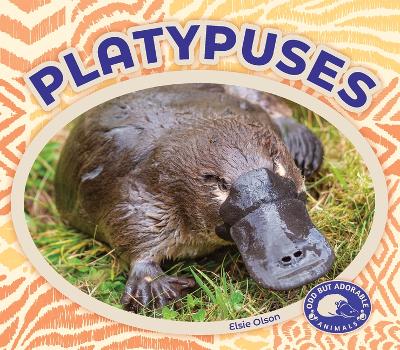 Cover of Platypuses