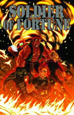 Book cover for Solider of Fortune