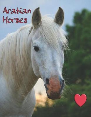 Book cover for Arabian Horses