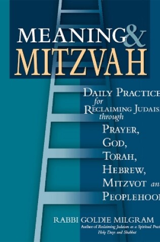 Cover of Meaning & Mitzvah