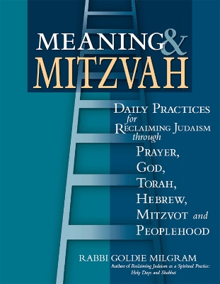 Book cover for Meaning & Mitzvah