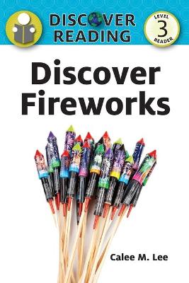 Book cover for Discover Fireworks