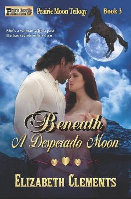 Book cover for Beneath A Desperado Moon