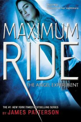 Cover of The Angel Experiment