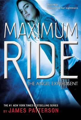 Book cover for The Angel Experiment