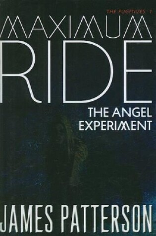 Cover of The Angel Experiment