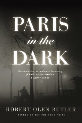 Cover of Paris In the Dark