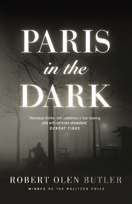 Cover of Paris In the Dark