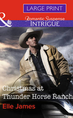 Book cover for Christmas At Thunder Horse Ranch