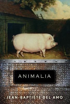 Book cover for Animalia