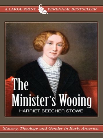 Book cover for The Ministers Wooing