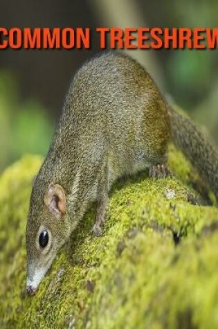 Cover of Common Treeshrew