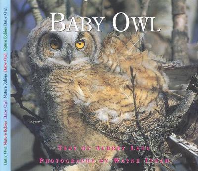 Book cover for Baby Owl