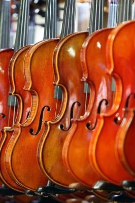 Book cover for Violins in a Music Store Musical Instrument Journal