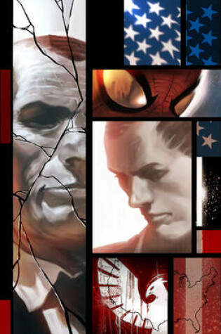 Cover of Spider-man: The Osborn Identity