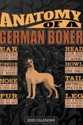 Book cover for Anatomy Of A German Boxer