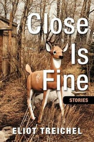 Cover of Close Is Fine