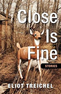 Book cover for Close Is Fine