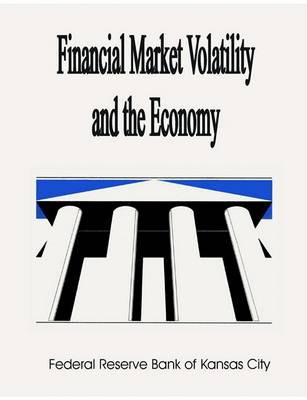 Book cover for Financial Market Volatility and the Economy