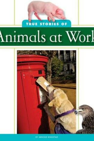 Cover of True Stories of Animals at Work