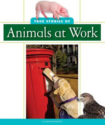 Cover of True Stories of Animals at Work