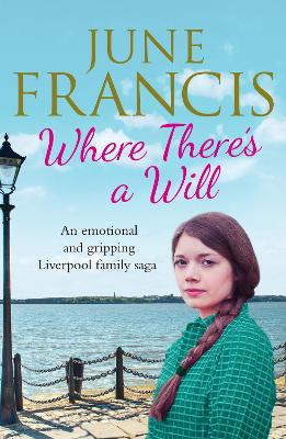 Book cover for Where There's a Will