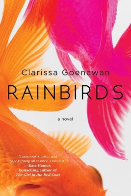Book cover for Rainbirds