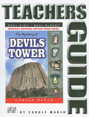 Cover of The Mystery at Devils Tower