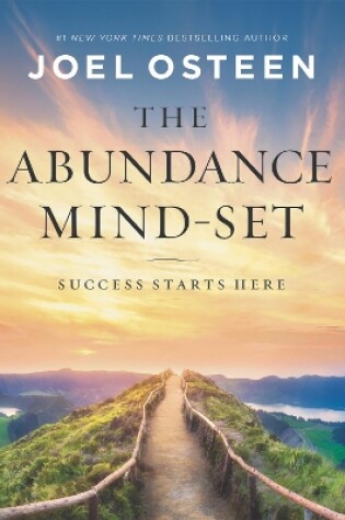 Cover of The Abundance Mind-Set