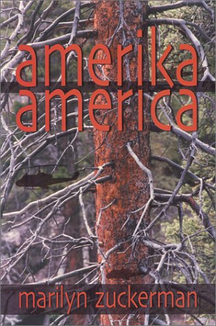 Book cover for Amerika/America