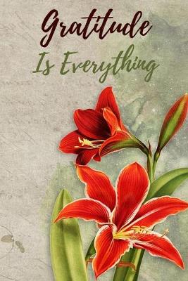 Book cover for Gratitude Is Everything