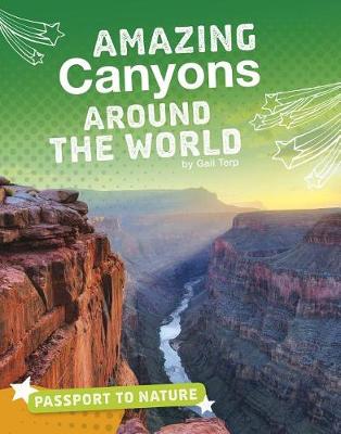 Cover of Amazing Canyons Around the World