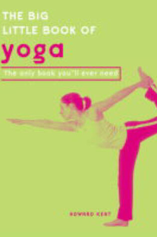 Cover of The Big Little Book of Yoga