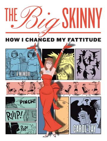 Book cover for The Big Skinny