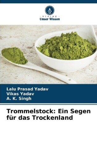 Cover of Trommelstock