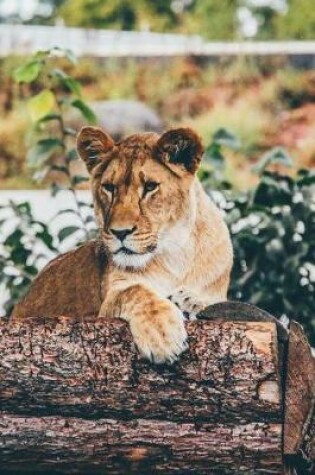 Cover of A Lioness Lion Resting Journal