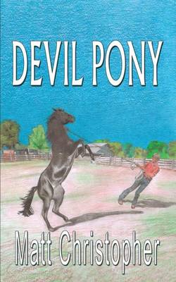Book cover for Devil Pony