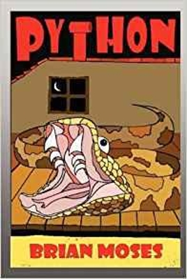 Book cover for Python