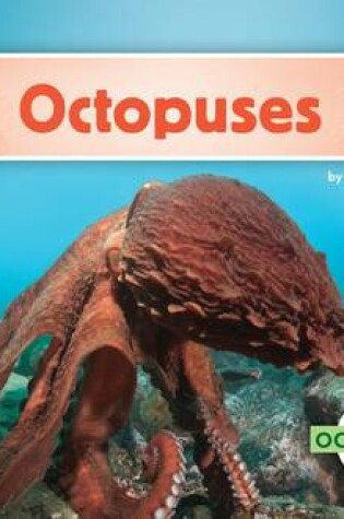 Cover of Octopuses