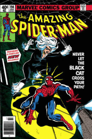 Cover of Spider-Man vs. the Black Cat
